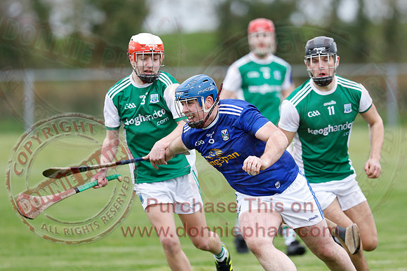 Fermanagh (1-14) V Cavan (0-05) in National Hurling League Division 3B-19