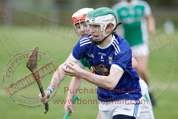 Fermanagh (1-14) V Cavan (0-05) in National Hurling League Division 3B-21