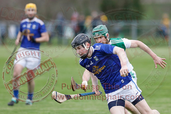 Fermanagh (1-14) V Cavan (0-05) in National Hurling League Division 3B-28
