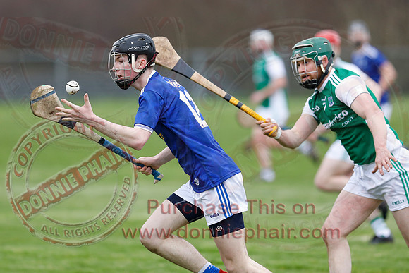 Fermanagh (1-14) V Cavan (0-05) in National Hurling League Division 3B-29