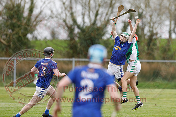Fermanagh (1-14) V Cavan (0-05) in National Hurling League Division 3B-34