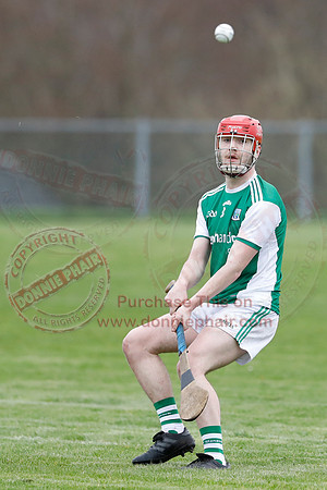 Fermanagh (1-14) V Cavan (0-05) in National Hurling League Division 3B-35