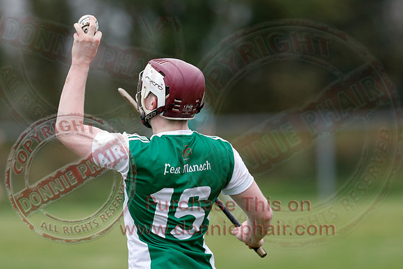 Fermanagh (1-14) V Cavan (0-05) in National Hurling League Division 3B-45