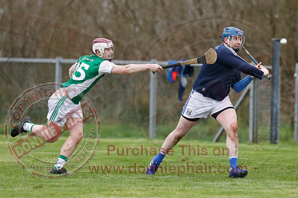 Fermanagh (1-14) V Cavan (0-05) in National Hurling League Division 3B-47