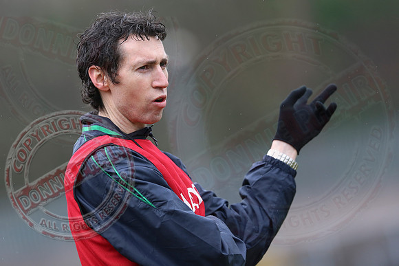Fermanagh (2-20) V Wexford (3-8) in Allianz National Football League Division 3.