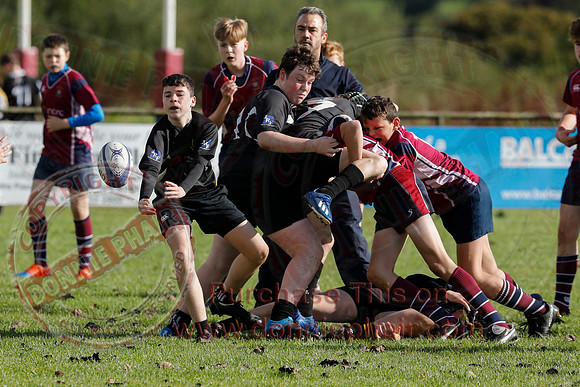 Enniskillen V Virginia in Youth Rugby-6