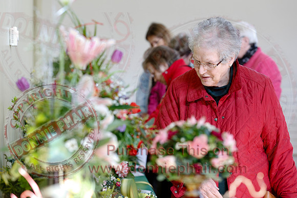 Annual Daffodil Spring Flower Show in St. Macartin's Cathedral Hall, Enniskillen-1