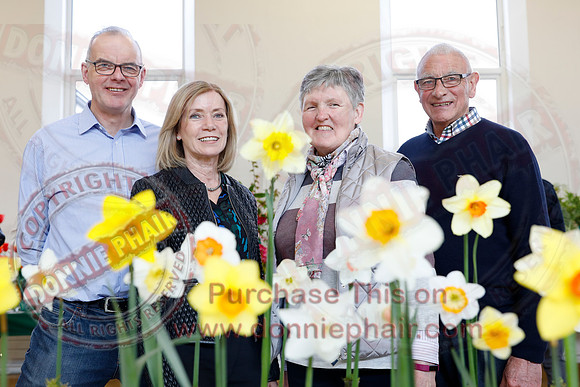 Annual Daffodil Spring Flower Show in St. Macartin's Cathedral Hall, Enniskillen-5