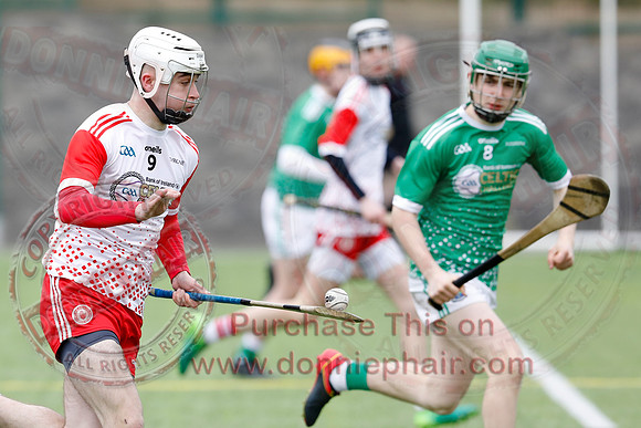 Fermanagh V Tyrone in Hurling-2
