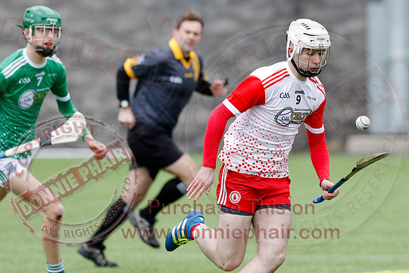 Fermanagh V Tyrone in Hurling-1