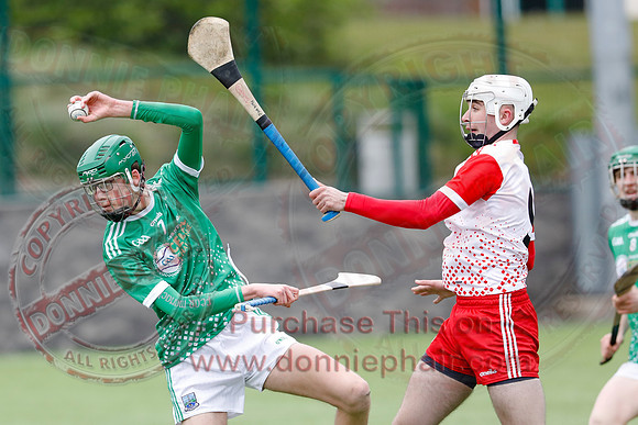 Fermanagh V Tyrone in Hurling-3