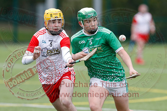 Fermanagh V Tyrone in Hurling-5
