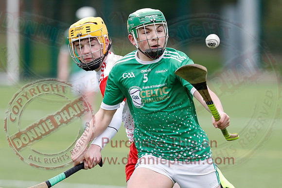 Fermanagh V Tyrone in Hurling-6