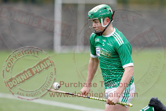 Fermanagh V Tyrone in Hurling-7