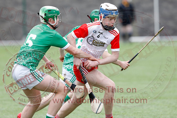 Fermanagh V Tyrone in Hurling-4