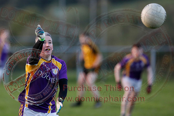 Erne Gaels Belleek (4-03) V Derrygonnelly (0-17) in Senior GAA Football League Division One-9