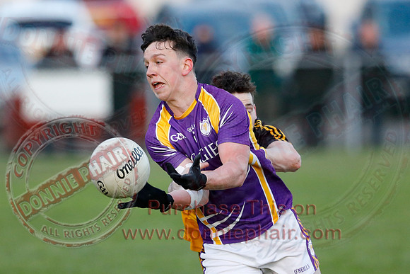 Erne Gaels Belleek (4-03) V Derrygonnelly (0-17) in Senior GAA Football League Division One-12