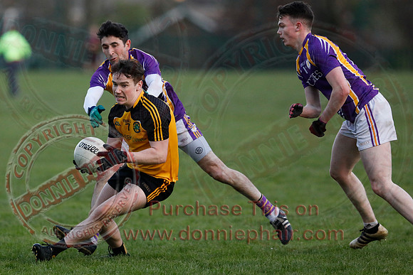 Erne Gaels Belleek (4-03) V Derrygonnelly (0-17) in Senior GAA Football League Division One-15