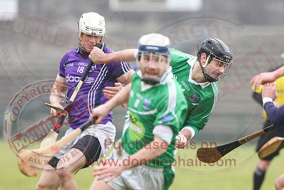 Fermanagh (1-16) V Fingal (3-13) in National Hurling League Division 3A