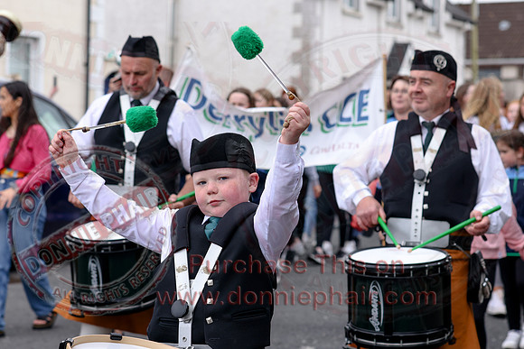 Fermanagh Fleadh Cultural Community Parade in Roslea-38