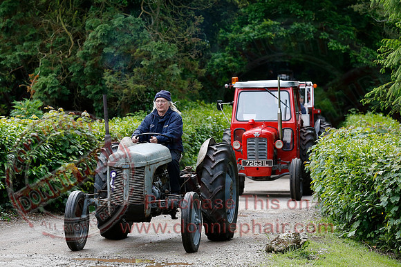 Tempo Annual Tractor Parade-7