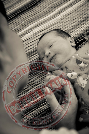 New Born Babies born 1st Jan 2012 in the Erne Hospital Enniskillen.