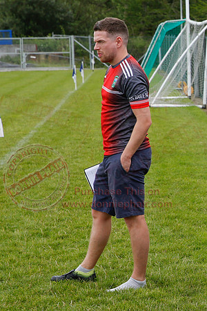 Newtownbutler (2-07) V Belnaleck (0-13) in Erne Cup Division Two Final-9