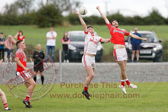 Newtownbutler (2-07) V Belnaleck (0-13) in Erne Cup Division Two Final-13