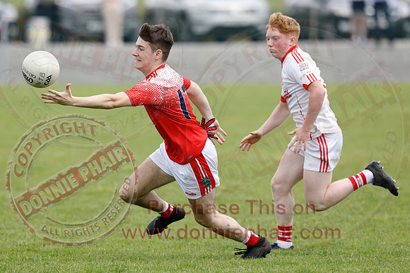 Newtownbutler (2-07) V Belnaleck (0-13) in Erne Cup Division Two Final-18