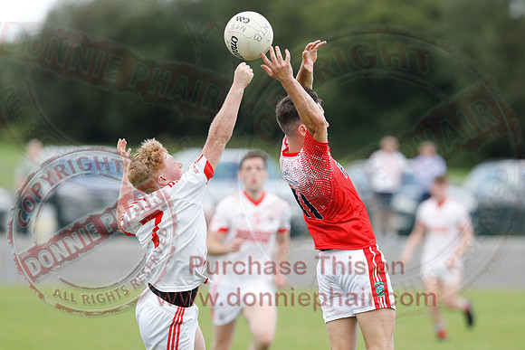Newtownbutler (2-07) V Belnaleck (0-13) in Erne Cup Division Two Final-36