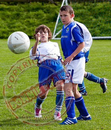 Ballinamallard V Linfield.