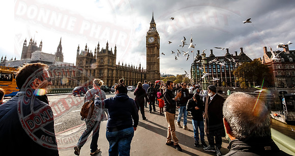 Big Ben and the Houses of Parliament, Westminster, London, England.