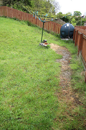 Sewage Leak - Photo taken on 07/05/14.