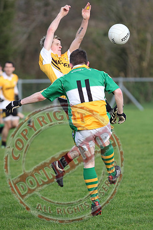 Derrylin V Coa in Senior MEn GAA Football.