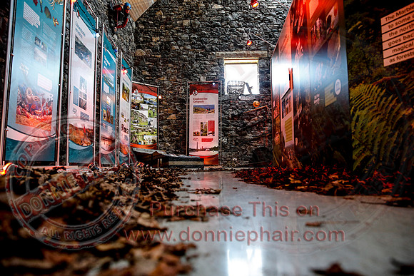 Halloween Marble Arch Caves-86