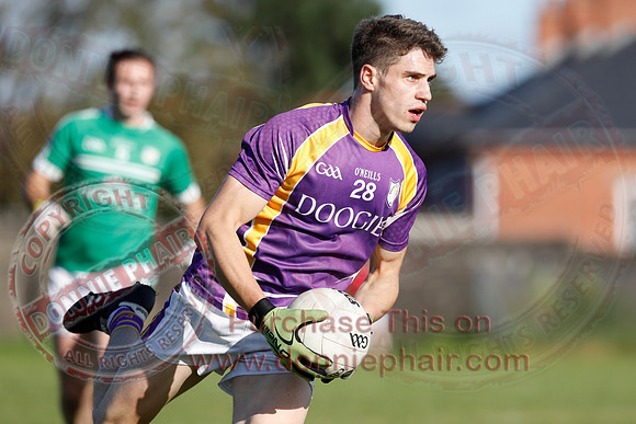 Derrygonnelly Harps (2-10) V Cargin Erin's Own (0-12) in Ulster Club Senior GAA Football Championship Preliminary Round-13