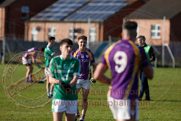 Derrygonnelly Harps (2-10) V Cargin Erin's Own (0-12) in Ulster Club Senior GAA Football Championship Preliminary Round-67