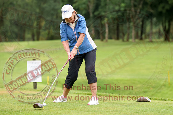 Lady Presidents Day at Enniskillen Golf Club-11