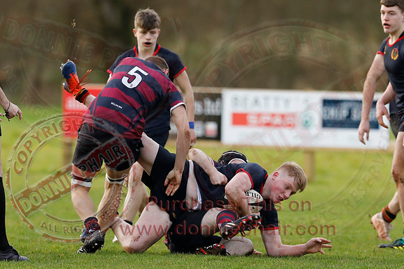 ERGS 1st XV (43) V Belfast Royal Academy 1st XV (5) in Schools Friendly Rugby-8