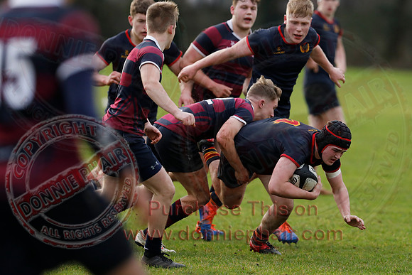 ERGS 1st XV (43) V Belfast Royal Academy 1st XV (5) in Schools Friendly Rugby-19