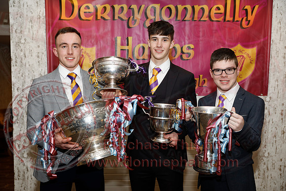 Derrygonnelly Dinner Dance 2020-184