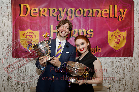 Derrygonnelly Dinner Dance 2020-198