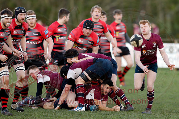 Enniskillen 1st XV (12) V Armagh 2nd XV (3) in Town Cup - Rugby-21