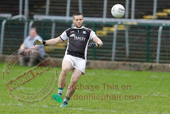 Fermanagh (0-13) V Roscommon (0-12) in National GAA Football League Division Two-22