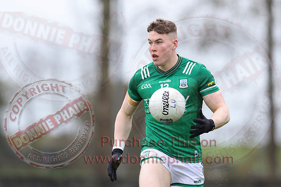 Louth (6-17) V Fermanagh (0-11) in National GAA Football League Division Two-4