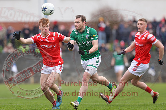 Louth (6-17) V Fermanagh (0-11) in National GAA Football League Division Two-12