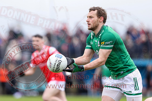 Louth (6-17) V Fermanagh (0-11) in National GAA Football League Division Two-10