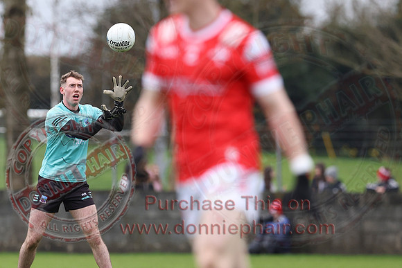 Louth (6-17) V Fermanagh (0-11) in National GAA Football League Division Two-13