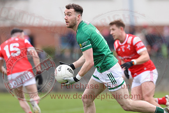 Louth (6-17) V Fermanagh (0-11) in National GAA Football League Division Two-17