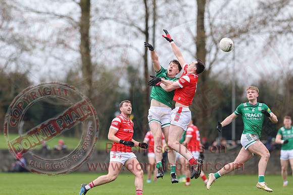 Louth (6-17) V Fermanagh (0-11) in National GAA Football League Division Two-19